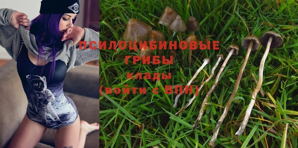 дживик Балахна