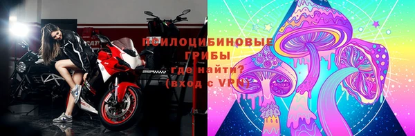 дживик Балахна